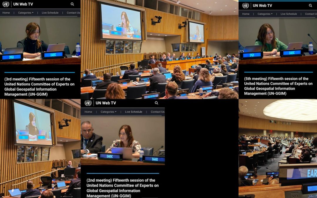 SDGsEYES at UN-GGIM: Elevating Earth Observation for SDG monitoring and reporting