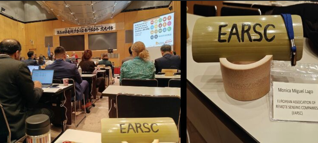 Bringing Earth Observation into SDG Monitoring: SDGs-EYES at the 16ᵗʰ IAEG-SDGs